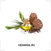 WEBFIRST.RU
