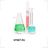 NTNET.RU